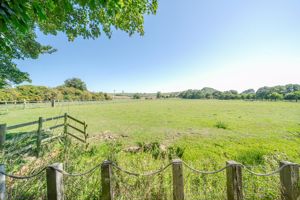 View- click for photo gallery